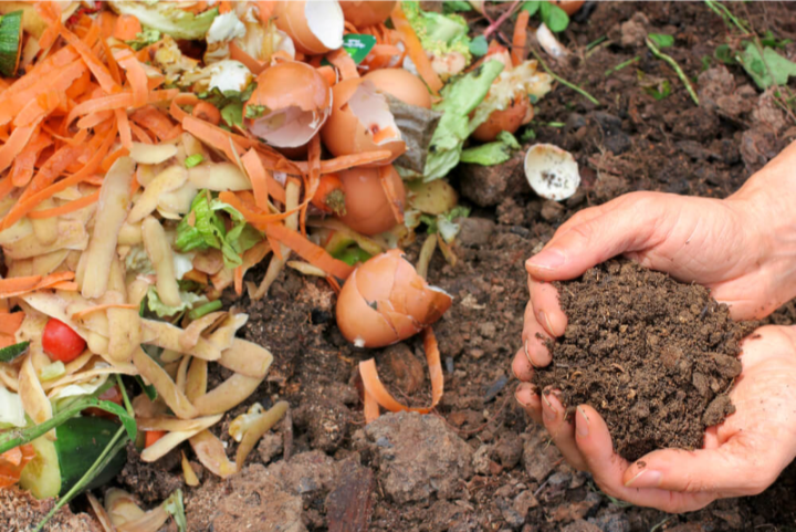 composting as a type of recycling