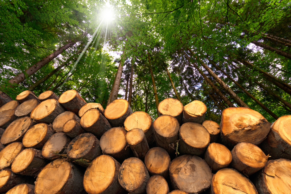 resource conservation through reducing the need for raw materials